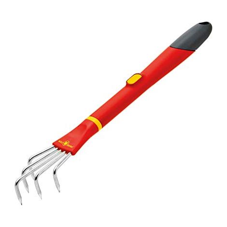 Artiglio Lf-M / Zm30 Multi-Star (A 5) (1/4)
