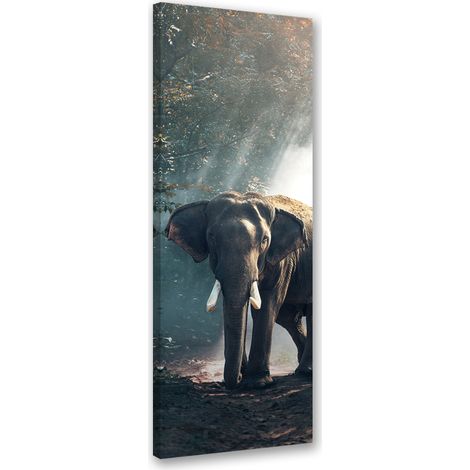 Tableau sur toile Éléphant dans la jungle 30x90 (1/5)