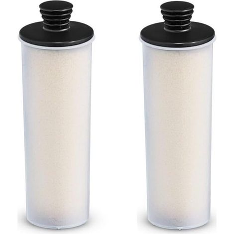 Cartouches filtrantes de détartrage (lot de 2) pour nettoyeurs vapeur Kärcher SC3 SC3 MX Easyfix (1/5)