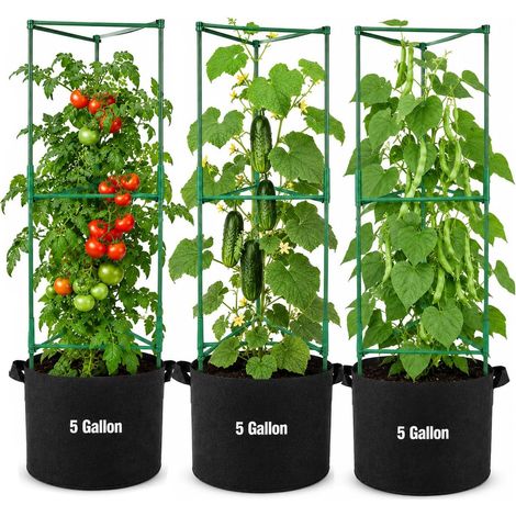 Tomato Cages with Felt Grow Bags, Pack of 3, Capacity 19 L, Modular Stakes up to 120 cm, for Tomatoes, Cucumbers, Beans and Peas (1/5)
