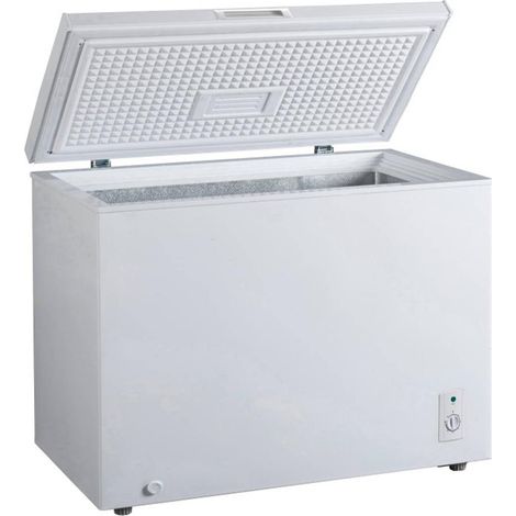 Congélateur coffre FRIGELUX CCO300BD