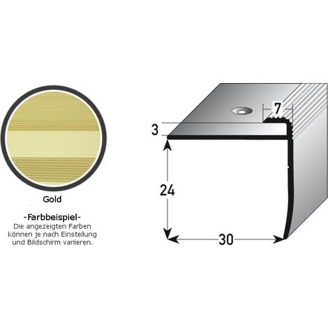 Einschubprofil "Annidale", mit Nase für Böden mit 3 mm Stärke, Aluminium eloxiert, gebohrt-goldfarbig-1000