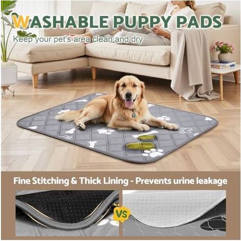 Tapis Éducateur pour Chien Lavable Réutilisable, Lot de 2 (100×70cm), Tapis Ultra Absorbant Anti-Fuites et Antidérapant, Convient aux Chiens, Chats, Cochons d'Inde et Lapins (1/5)