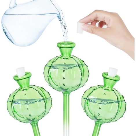 Lot de 3 Globes d'Arrosage Automatiques en Forme de Cactus, Ampoules pour Plantes et Jardin (1/5)