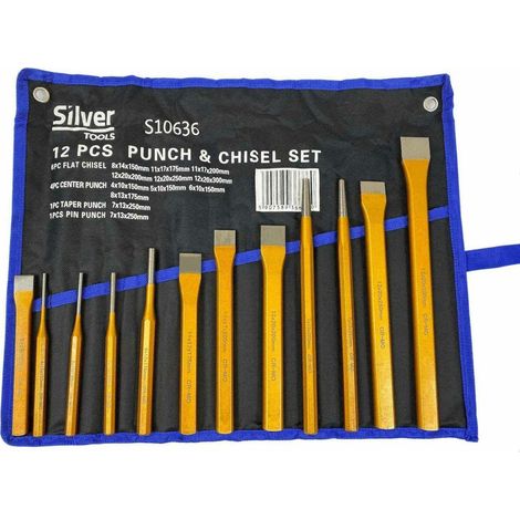 Silver Kit professionale di strumenti in acciaio 12 pezzi