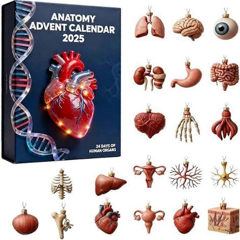 Calendrier de l'Avent 2025 sur le thème de l'anatomie humaine (25-26 jours), calendrier de compte à rebours de 24 jours avec 24 décorations d'organes, décoration de sapin de Noël en acrylique 2D, cade (1/5)