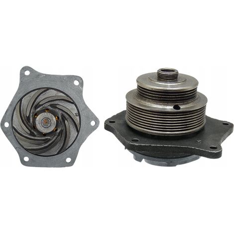 Cartuccia pompa acqua Case IH 74717111 GRANIT 82847714 87801641 87840689