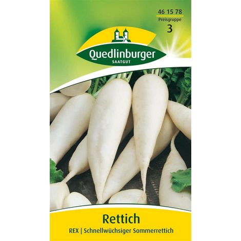 Quedlinburger Rettich Rex - Gemüsesamen (1/4)