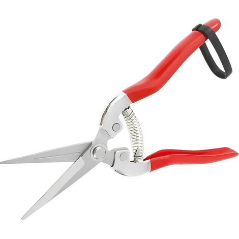Scateur droit en acier inoxydable pour (1/5)