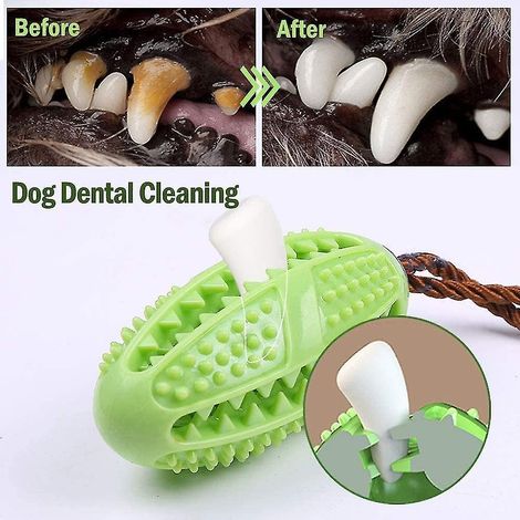 Bâtonnet brosse à dents pour chien, soin dentaire pour chiot, jouet pour animaux de compagnie non toxique, efficace, en caoutchouc naturel résistant aux morsures (vert)