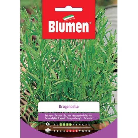 Blumen. Semi di Dragoncello