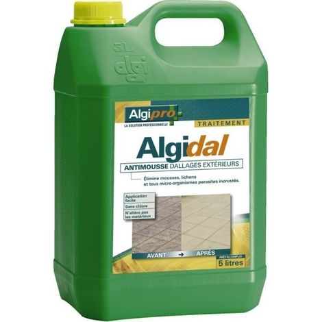 Algidal - Elimina Musgos y Liquen Sin Cloro - Bidón de 5l