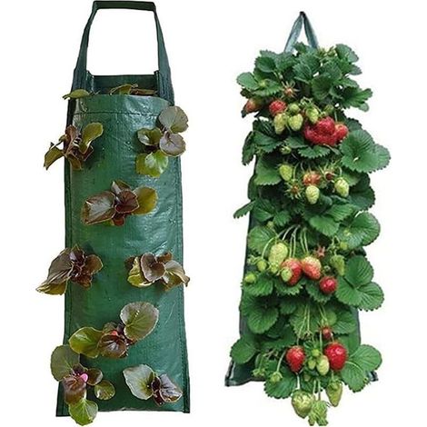 Lot de 2 sacs de plantation à suspendre verticalement - Avec 8 trous - Pour fraises de jardin, herbes et fleurs - Vert (1/5)