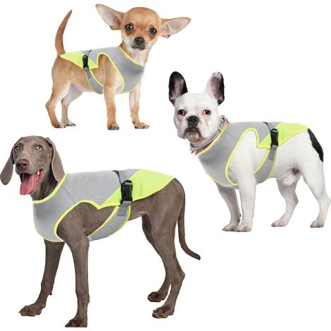 Veste de Refroidissement pour Chien Manteau Rafraîchissant Réfléchissant pour Animaux de Compagnie Gilet Respirant Anti-Coup de Chaleur et Anti-Moustiques pour Chiens de Petite Moyenne et Grande Taill (1/5)