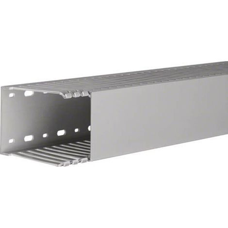 Tehalit Verdrahtungskanal DNG 100075 gr 2 Stk