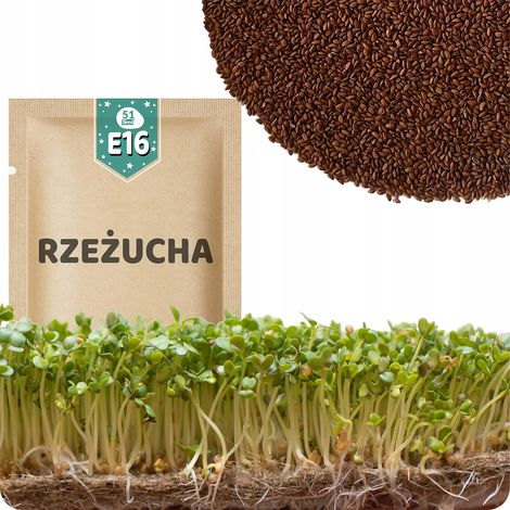 51Seed E16 SEMI DI GERMOGLI - CRESCINO 30G