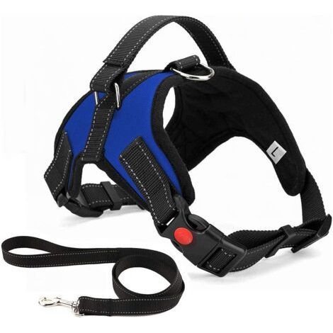Harnais de sécurité pour chien de traction, réglable et respirant pour le confort, y compris la laisse, pour les petits, moyens et grands chiens, idéal pour entrer Activités et promenades (S, bleu) (1/5)