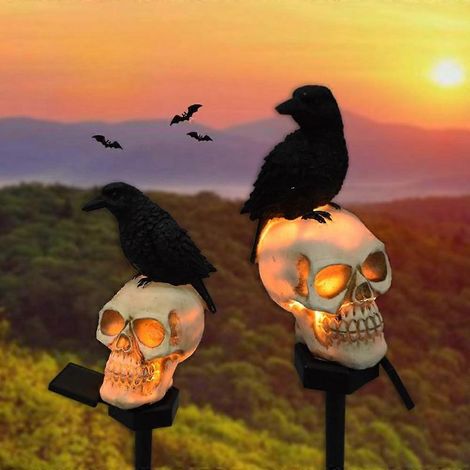 Guirlandes lumineuses solaires d'Halloween pour jardin, motif crâne de corbeau unique, étanches, lot de 2.