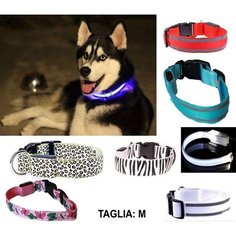 Trade Shop - Collare Per Cane Cani A Led Luminoso Sicurezza Led Notturno Clip Fantasia Tg.m - (1/2)