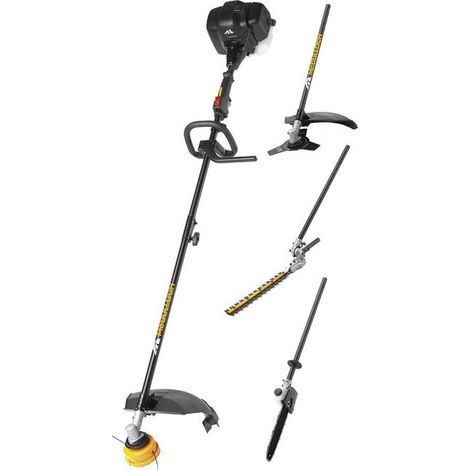 Decespugliatore B33Ps + (4In1) (1/5)