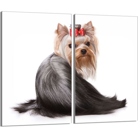 Piastra protettiva in vetro per la stufa 2x30x52 Cane (1/5)