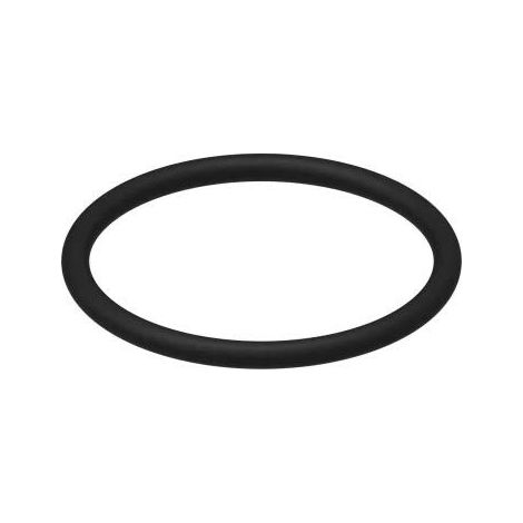 Guarnizione o ring per valvola di scarico 9820005 tece (1/2)