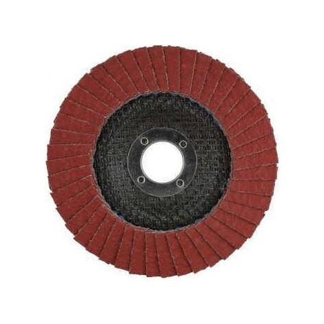 Disque abrasif à lamelles TYROLIT 645130