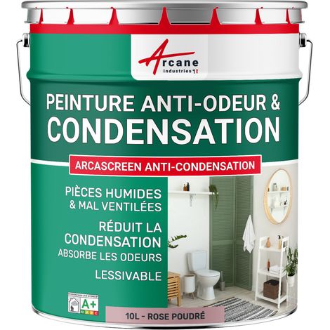 Peinture anti condensation, anti odeur, moisissure - 10 L Rose poudré - RAL 010 70 15 - ARCANE INDUSTRIES (1/5)