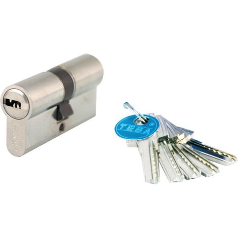 Cylindre double de sûreté type T 60 débrayable 5 clés laiton poli 30 x 30 mm - Tesa securité (1/3)