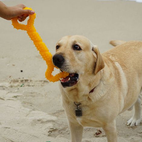 MINKUROW Juguetes Para Masticar Perros Goma Resistente 13 Pulgadas Juguete Para Perros En Forma De Hueso Cachorros Con Diseño Convexo Juguete Para Perros Interactivo Sólido Para Masticadores Agresivos (1/3)
