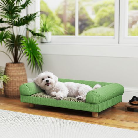Canapé pour chien chat lit pour chien surélevé. assise de tapis frais. accoudoirs. en velours doux 63 x 41 x 17 cm. vert