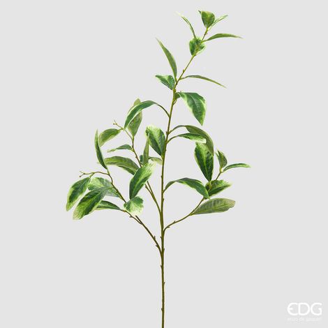 EDG Enzo De Gasperi Ligustro Ramo H 110 Cm Pianta Artificiale Giallo Verde