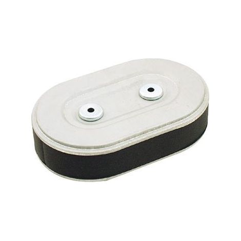 Luftfilter Rasenmäher Rasentraktor kompatibel HONDA 17210-ZA0-506