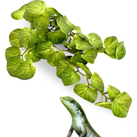 Pianta tropicale artificiale BioBush n. 7 per terrario Pilea (1/5)