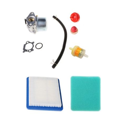 Carburateur compatible références 799866 790845 799871 796707 794304, pièce pour moteur Briggs & Stratton