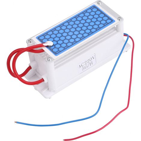 Générateur d'Ozone Portable 220V, Purificateur d'Air et d'Eau, Stérilisateur à Plaque Céramique 5g/h (1/5)