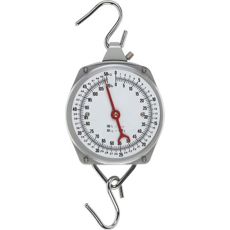 Bilancia dinamometrica 50 kg KERBL 486783