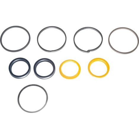 Kit guarnizioni 800260190 CARRARO CI049210