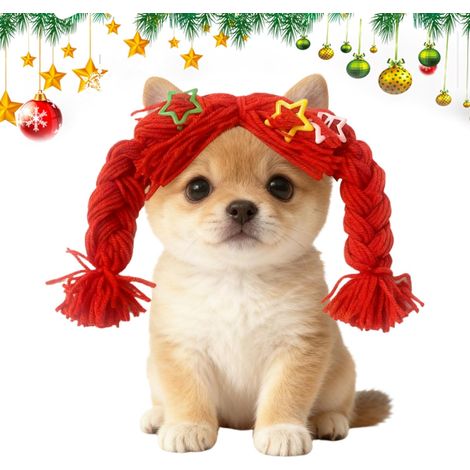 Small Dog Wigs,Soft Braid Pet Supplies Dog Cat Wig Cosplay (1/5)