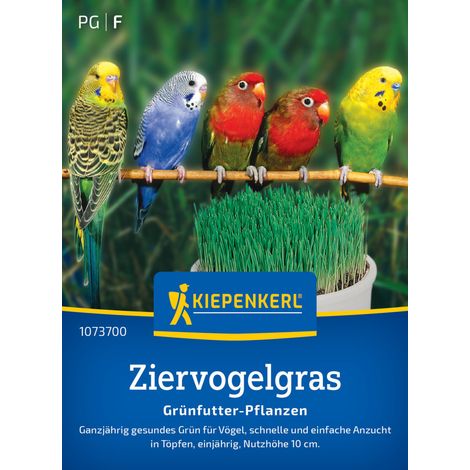 Kiepenkerl Rasensamen Ziervogelgras Frischgrün Mischung für ca. 1 m² (1/2)