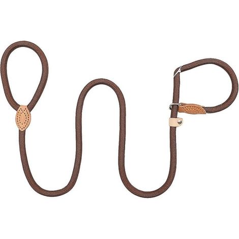 Laisse de dressage chien, longe réglable pour éducation canine, corde tressée pour animal, laisse coulissante robuste, accessoire promenade chien (1/5)