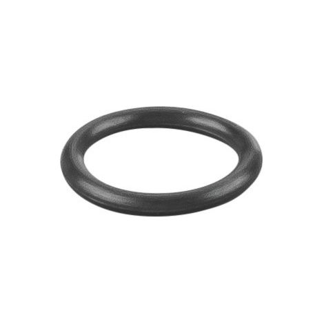Rems O-Ring 060240
