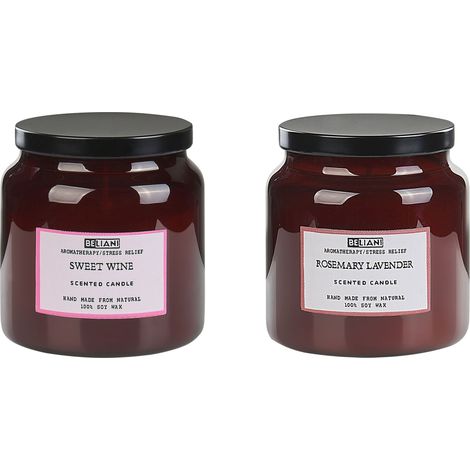 Set of 2 Scented Candles ABSOLUTE ALCHEMY Soy Wax Fresh Notes (1/5)