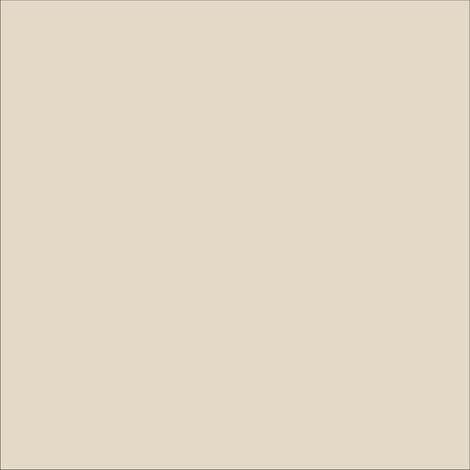 Ecolux smalto ecologico lucido acrilico ad acqua inodore per interno ed esterno tinta bianco perla - contenuto litri 0,750 - confezione 1