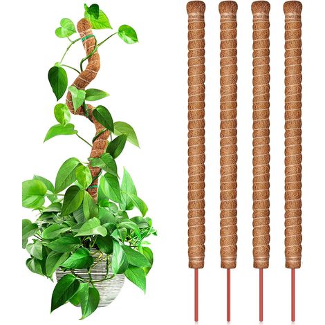Lot de 3 poteaux en mousse de coco de 120 cm, piquets de plantes pliables pour plante Monstera pour la croissance des plantes grimpantes (1/5)