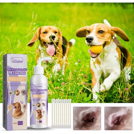 Ohrenreinigungslösung für Katzen und Hunde – Beseitigt Ohrengeruch und entfernt Ohrenschmalz – 118 ml Reinigungslösung + 10 Wattestäbchen -- DE (1/5)