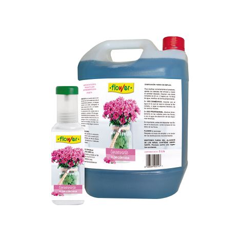 Blumenvidaflor konserviert von geschnittener Blume, 5 Liter