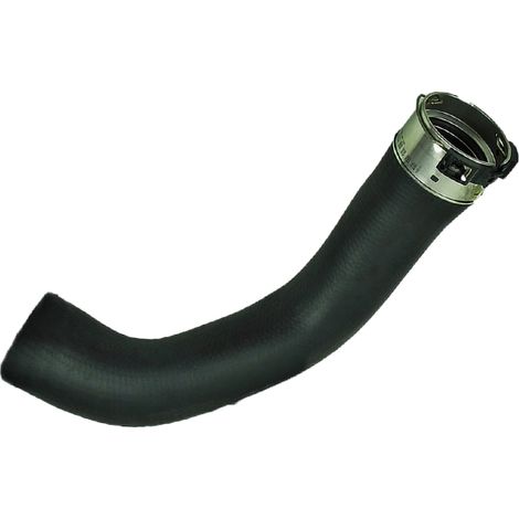 Gaine de suralimentation BUGIAD 81981 NISSAN 1446000Q0M