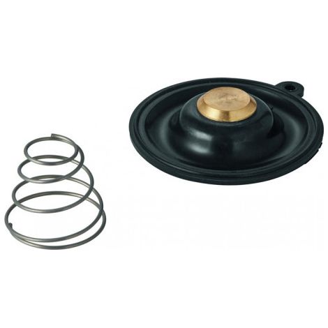 Membrane 43796 pour électrovanne 3/4 pouces-1 pouce Type B