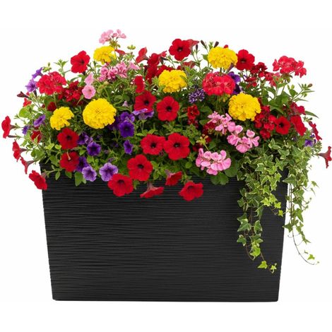 Bloom Riflo Blumentopf, schwarz, H 36,2 x 56,1 cm